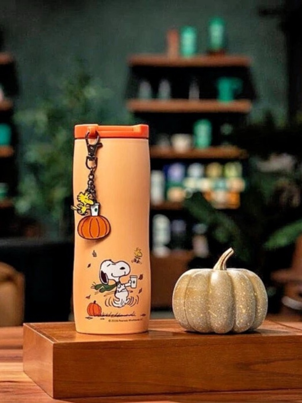 Starbucks x Peanuts Great Pumpkin Stainless Steel Tumbler Great Pumpkin